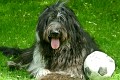 image_16_DSC00585
